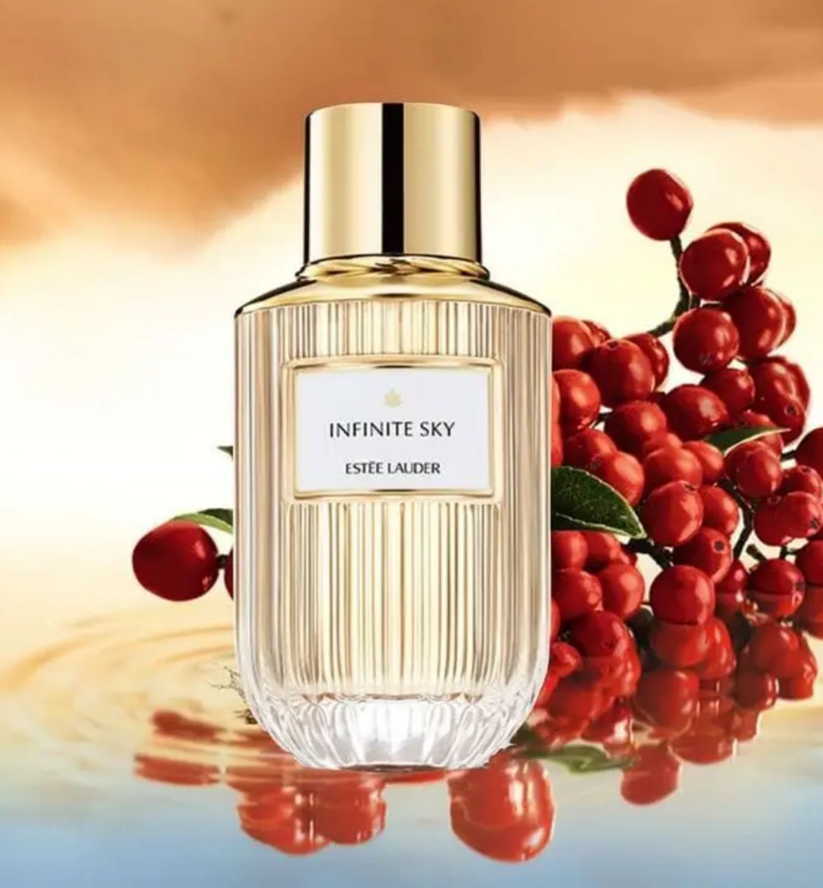 Estee Lauder Infinite Sky Eau De Parfum Spray (Net Wt.100ml)